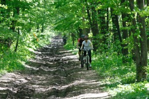 traseu antrenament biciclete mtb padurea baneasa