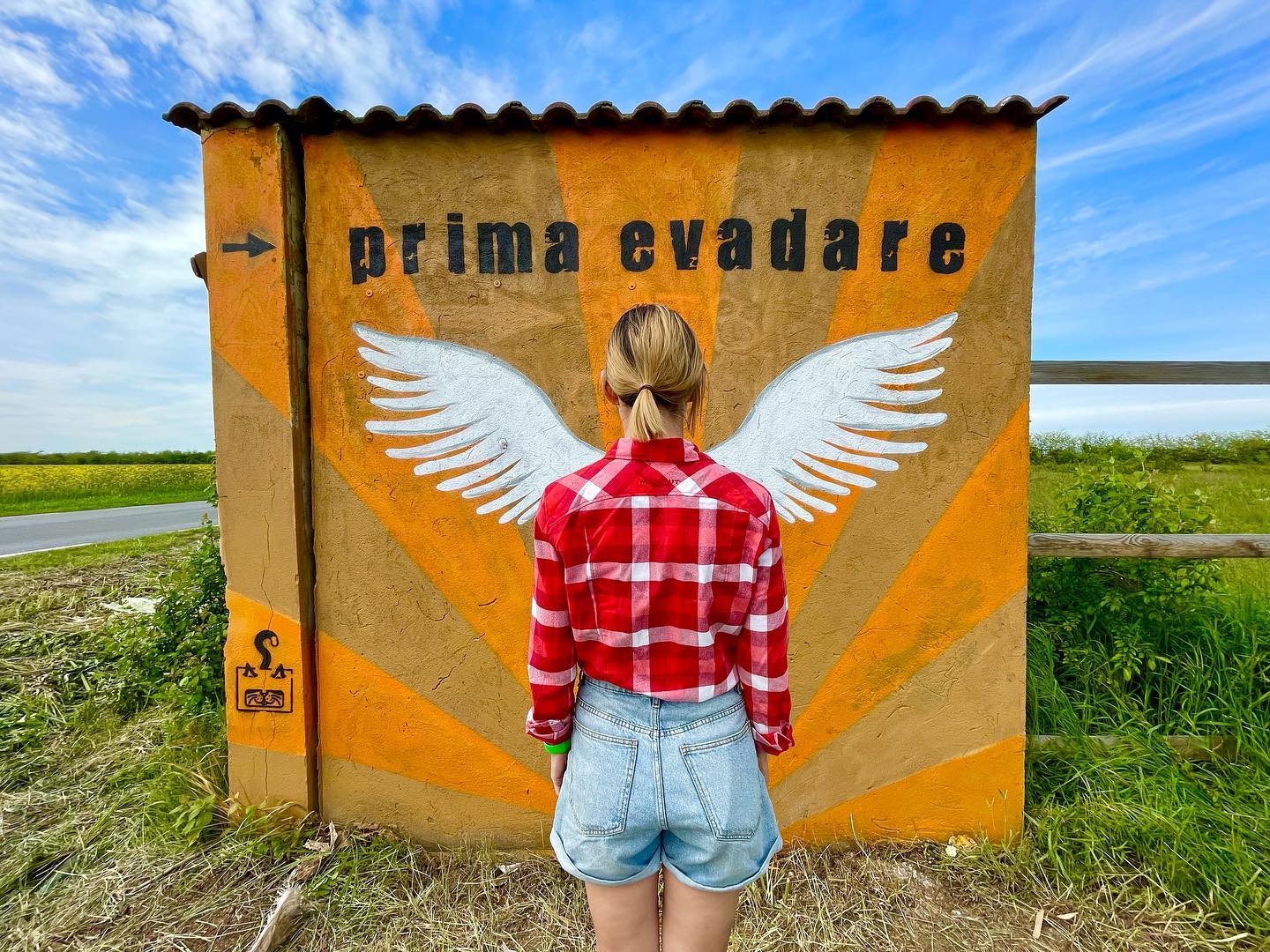 Primul panou foto permanent – PrimaEvadareWings