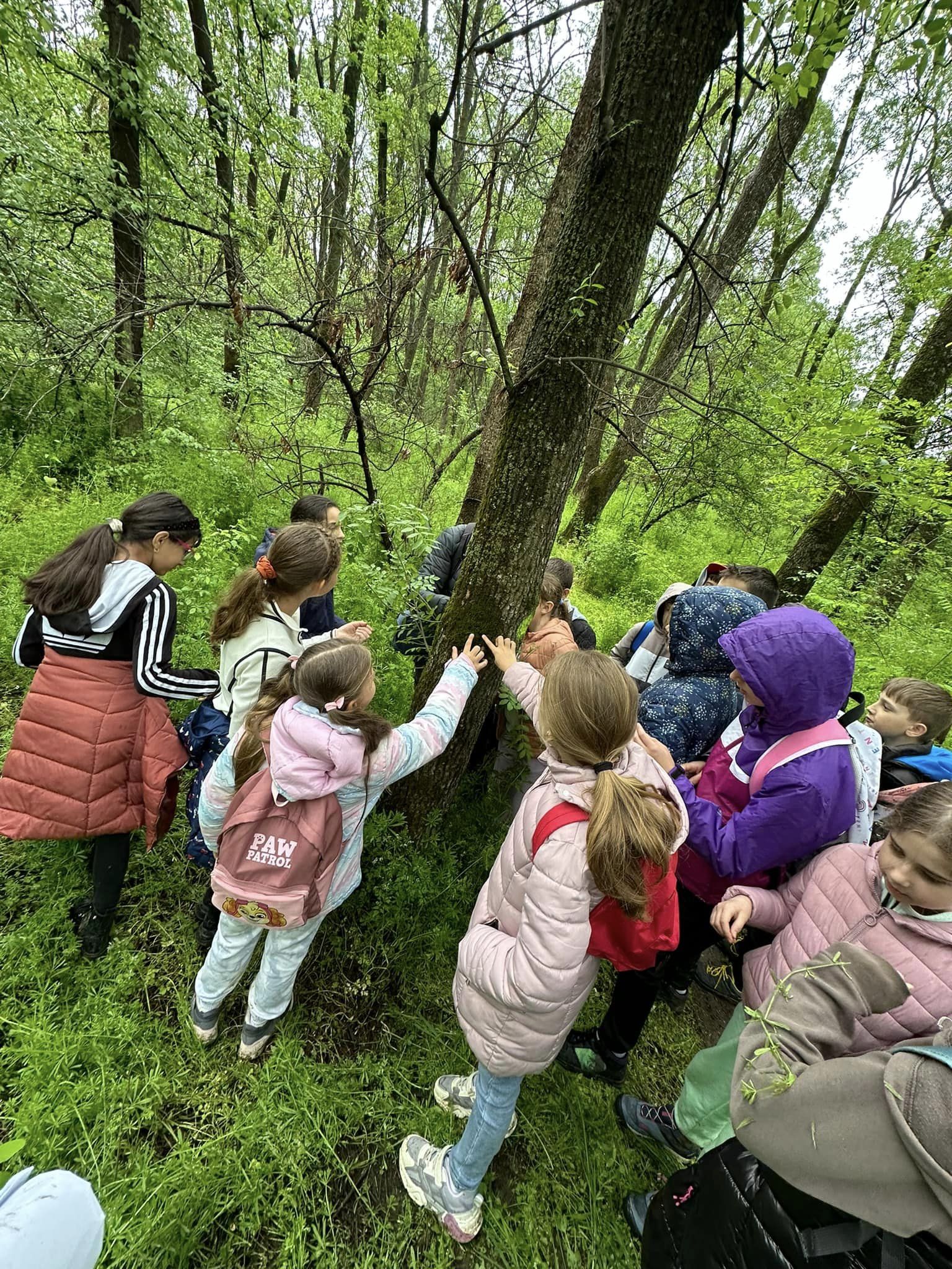 Plimbare stiințifică pentru intelegerea si explorarea naturii