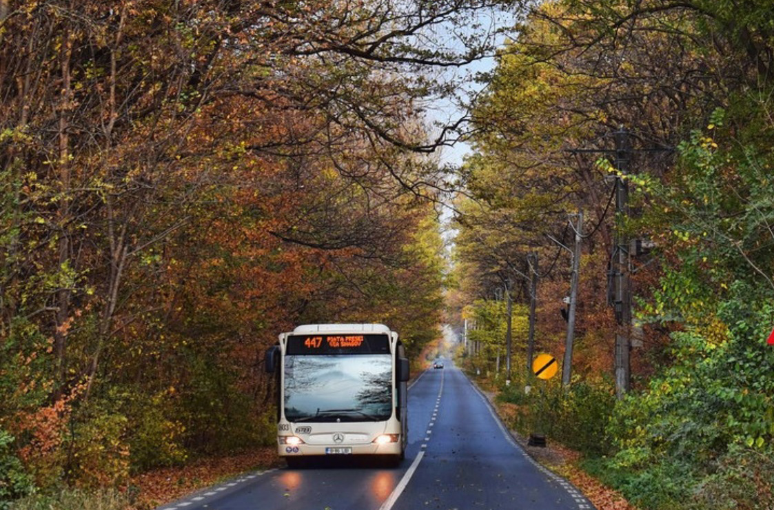 Cum ajung prietenii și însoțitorii la finish